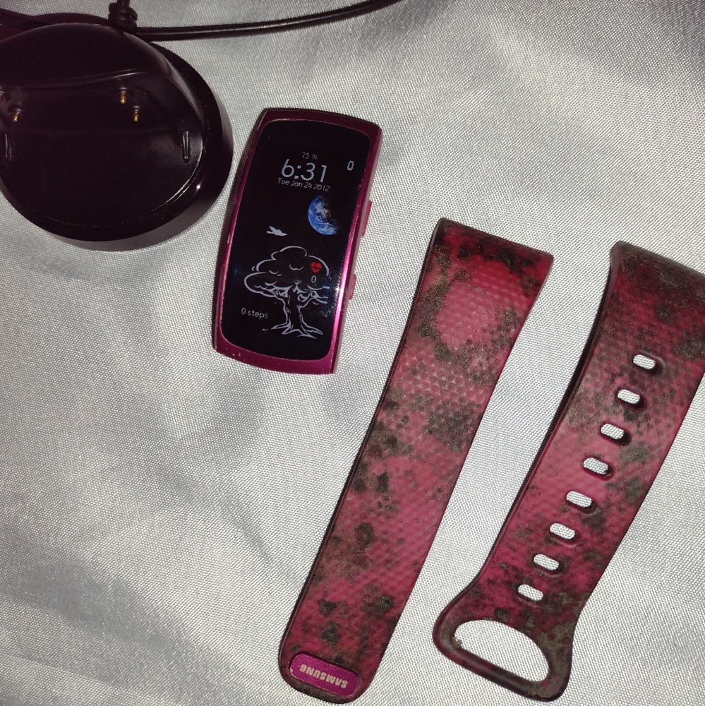 Samsung Gear Fit 2 Smart Watch